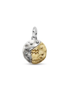 764990C01 - Charm Medallón en plata de ley y con un recubrimiento en oro de 14k Zodiaco Acuario 2