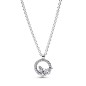 392620C01-45 - Collar en plata de ley Círculo & Herbario Brillante Pandora