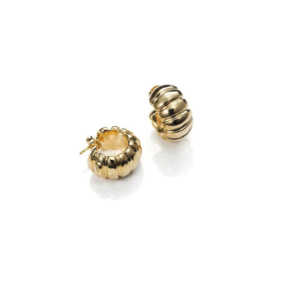 B1001E000-06 - Pendientes Viceroy Bijoux. Metal Chapado oro.