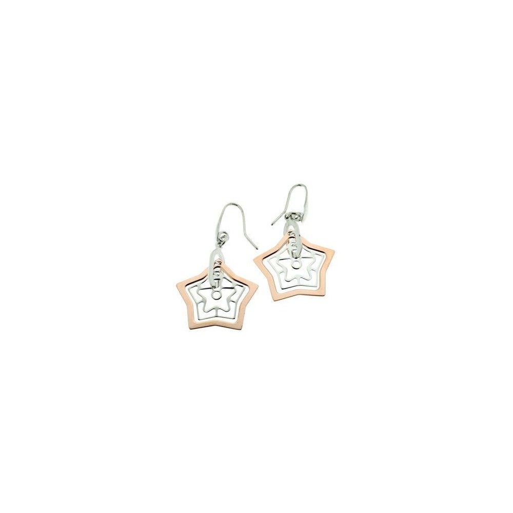 1080E000-00 - Pendientes Viceroy Jewel de plata de ley bicolor