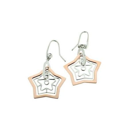 1080E000-00 - Pendientes Viceroy Jewel de plata de ley bicolor