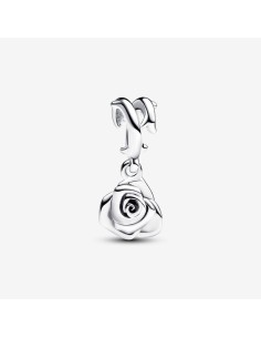 793213C00 - Charm Pandora de plata