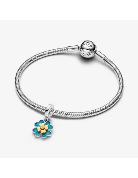 763624C01 - Charm Pandora de plata