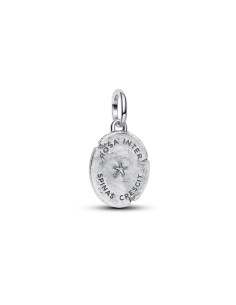 764087C00 - Charm talismán rosa y abeja – plata de ley y baño de oro con “Rosa inter spinas crescit” 2