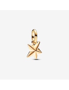763628C01 - Charm Pandora de plata
