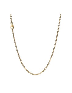 368574C00-60 - Cadena en PANDORA Shine 2